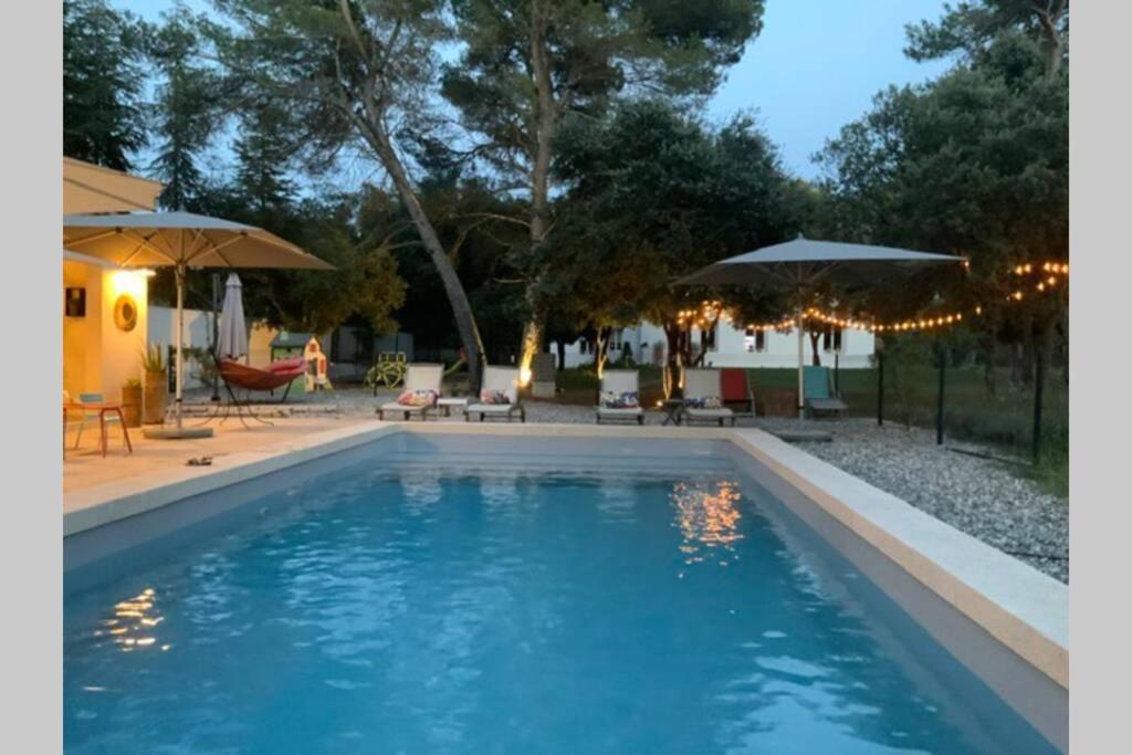Gite Dans Les Pins Avec Piscine Villa มาซอง ภายนอก รูปภาพ