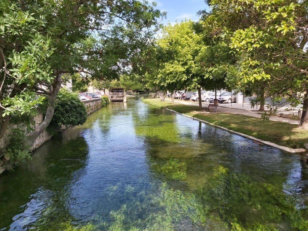 Gite Dans Les Pins Avec Piscine Villa มาซอง ภายนอก รูปภาพ