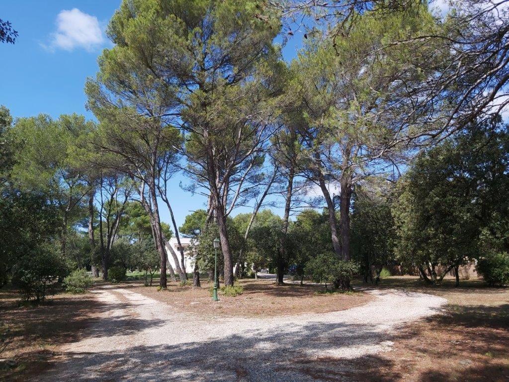 Gite Dans Les Pins Avec Piscine Villa มาซอง ภายนอก รูปภาพ
