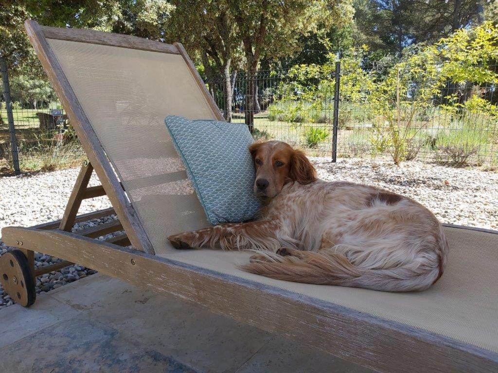 Gite Dans Les Pins Avec Piscine Villa มาซอง ภายนอก รูปภาพ